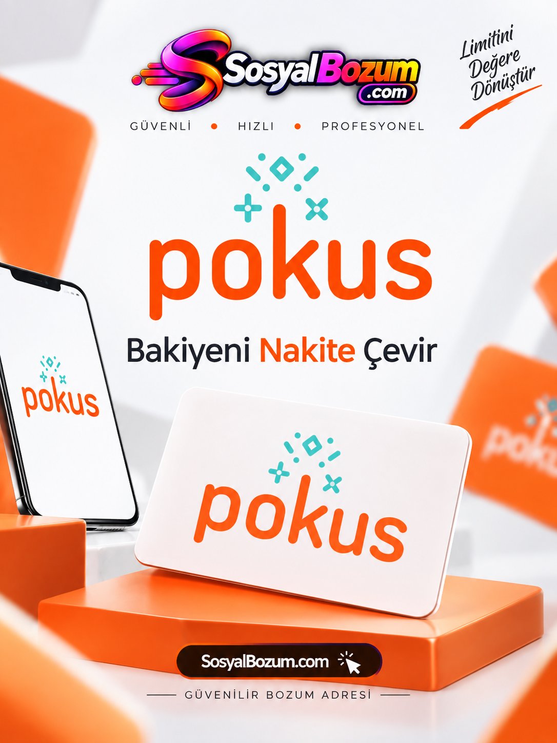 Pokus Bozum